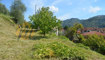 Vendesi Terreno di 6.000 mq